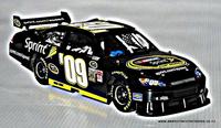 Sprint #09 2009 NASCAR